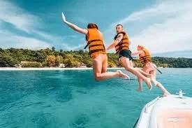 Dolphin Watching & Diving